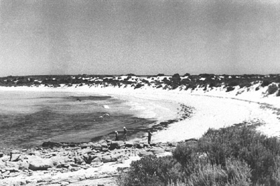 Lady Julia Percy Island