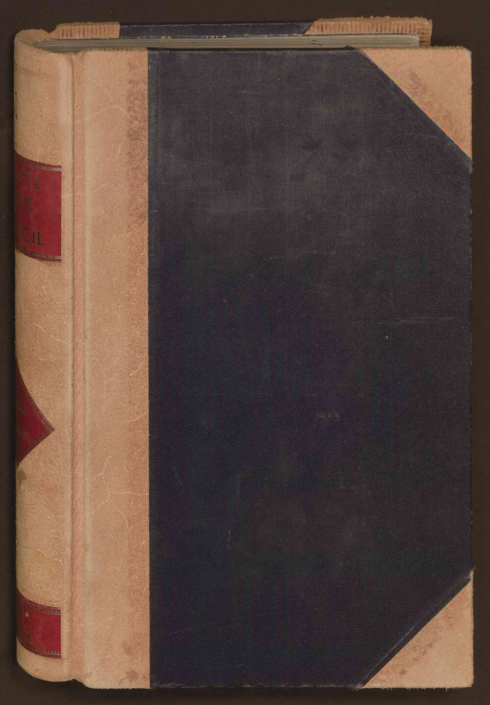 Council Minute Book 3 May 1853-27 April 1863, Volume 1