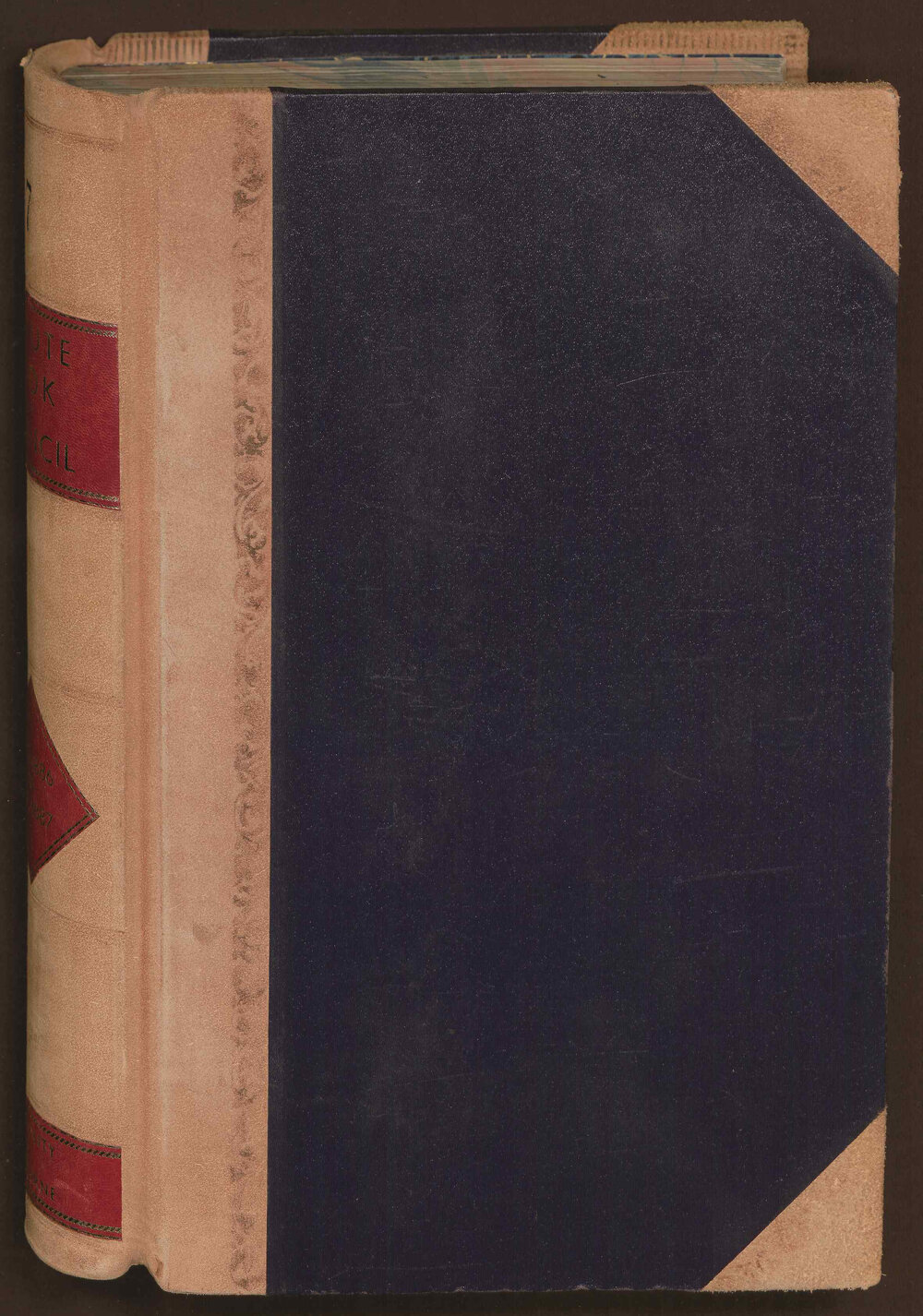 Council Minute Book 1 February 1886-19 December 1887, Volume 7