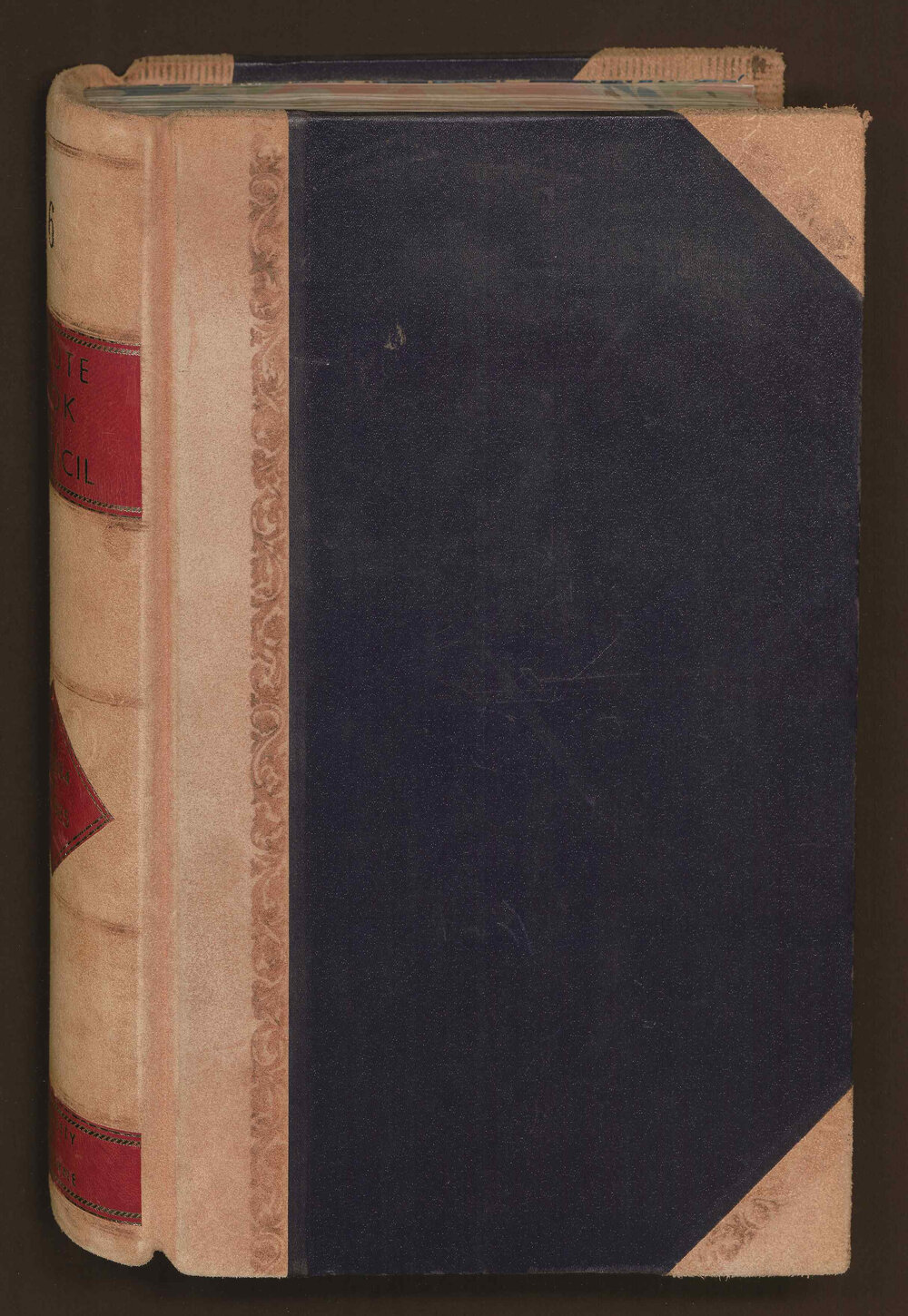 Council Minute Book 4 February 1884-21 December 1885, Volume 6