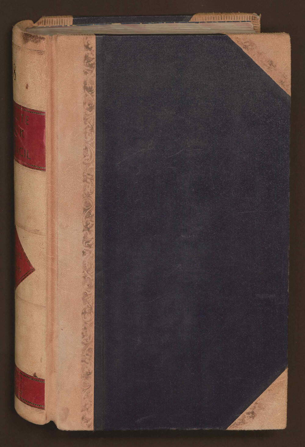 Council Minute Book 9 February 1888-20 December 1889, Volume 8