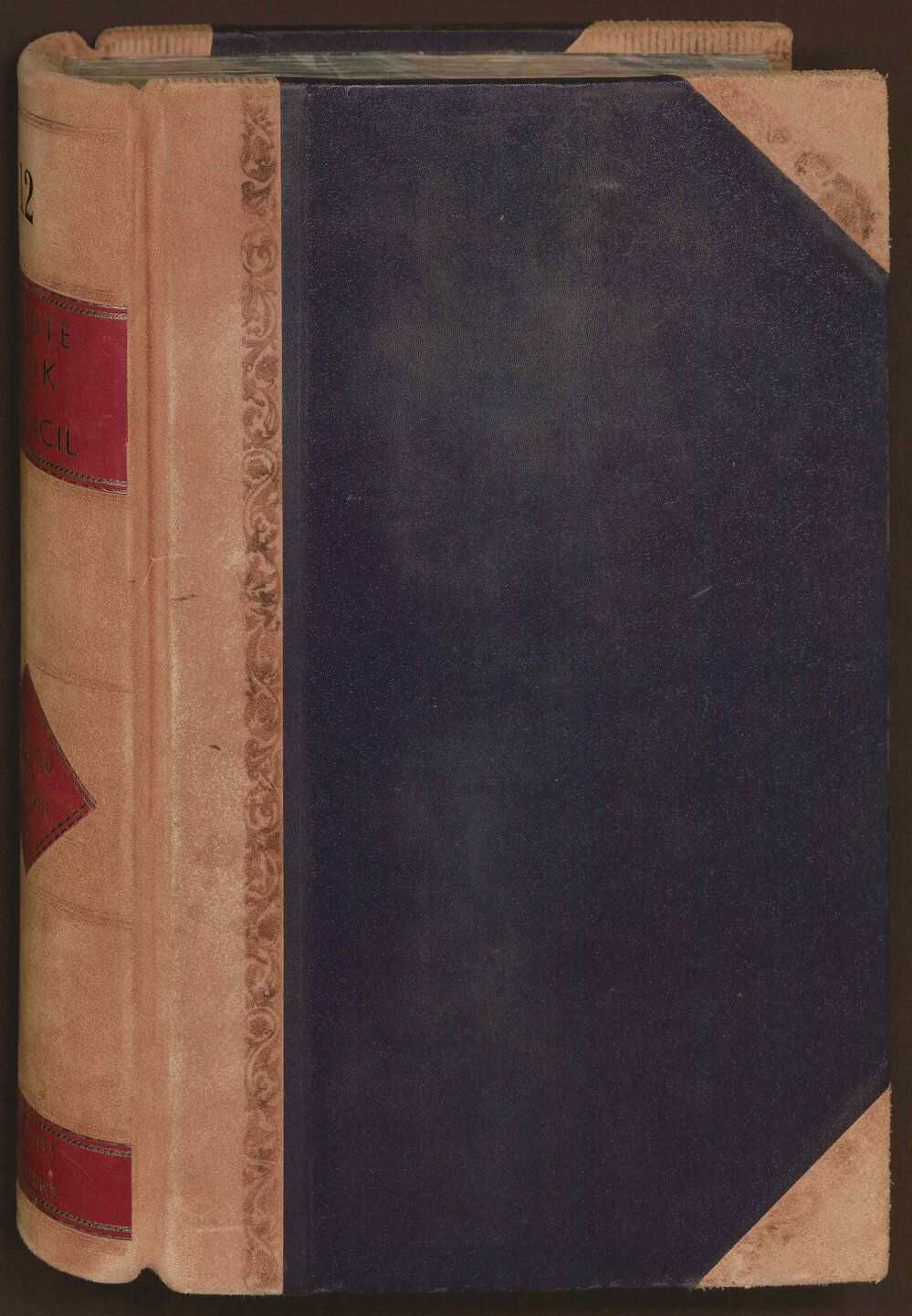 Council Minute Book 5 February 1900-23 December 1901, Volume 12