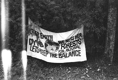 "Save the Otways" rally held at Apollo Bay, 1984