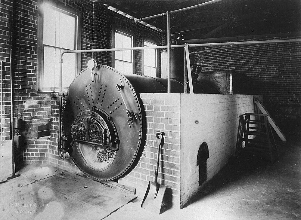 Boiler for dirving Mill plant