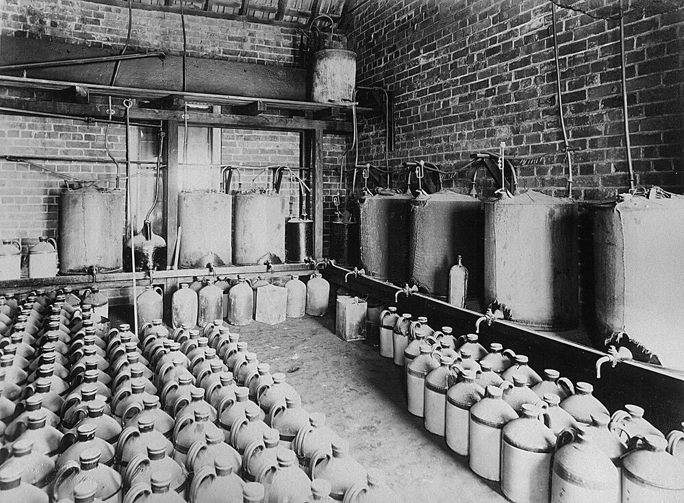 Manufacture of Ammonia