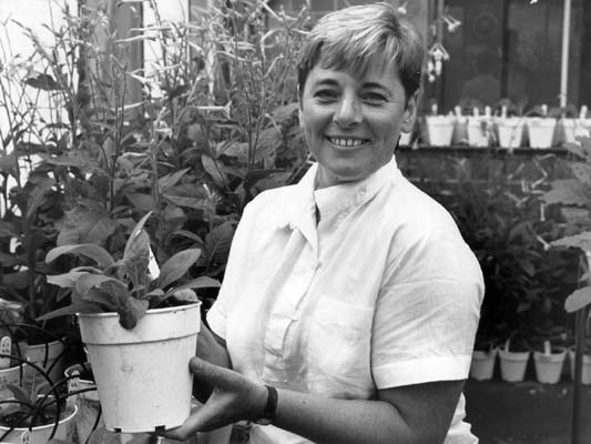 Professor Adrienne Clarke