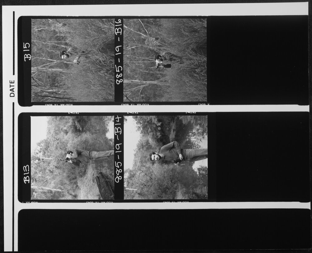 Clarke, Dr Michael, Zoology, at his bellbird research site near the Plenty River, Bundoora