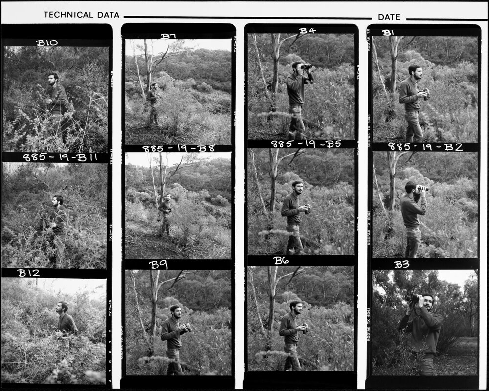 Clarke, Dr Michael, Zoology, at his bellbird research site near the Plenty River, Bundoora