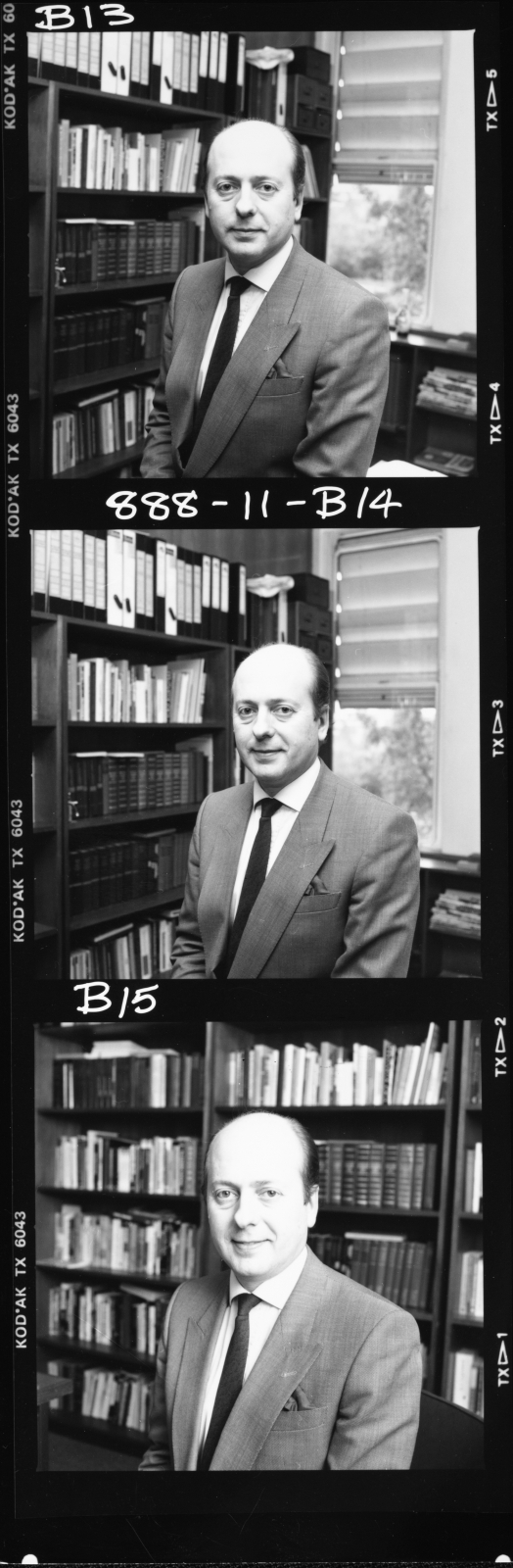 Holmes, Prof Les, Politics