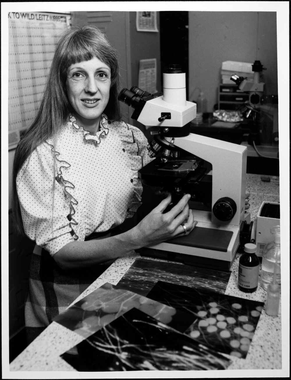 Williams, Dr Elizabeth, Botany