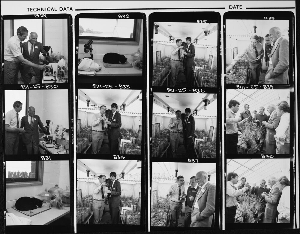 Agriculture and Forestry. Events and Awards/Presentations