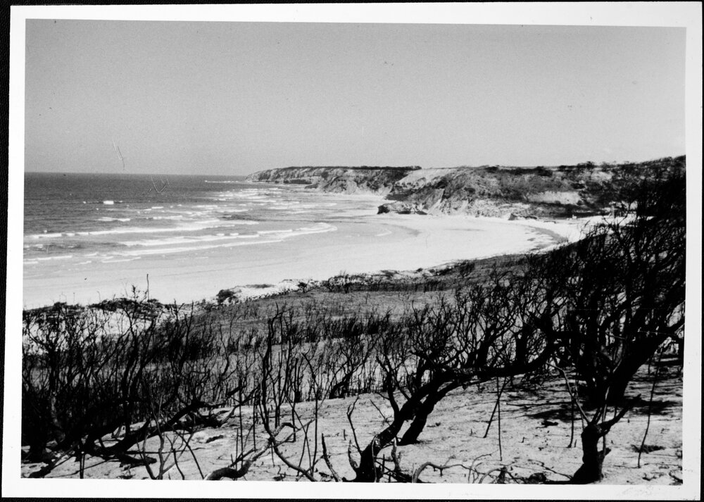 Ash Wednesday - bushfires