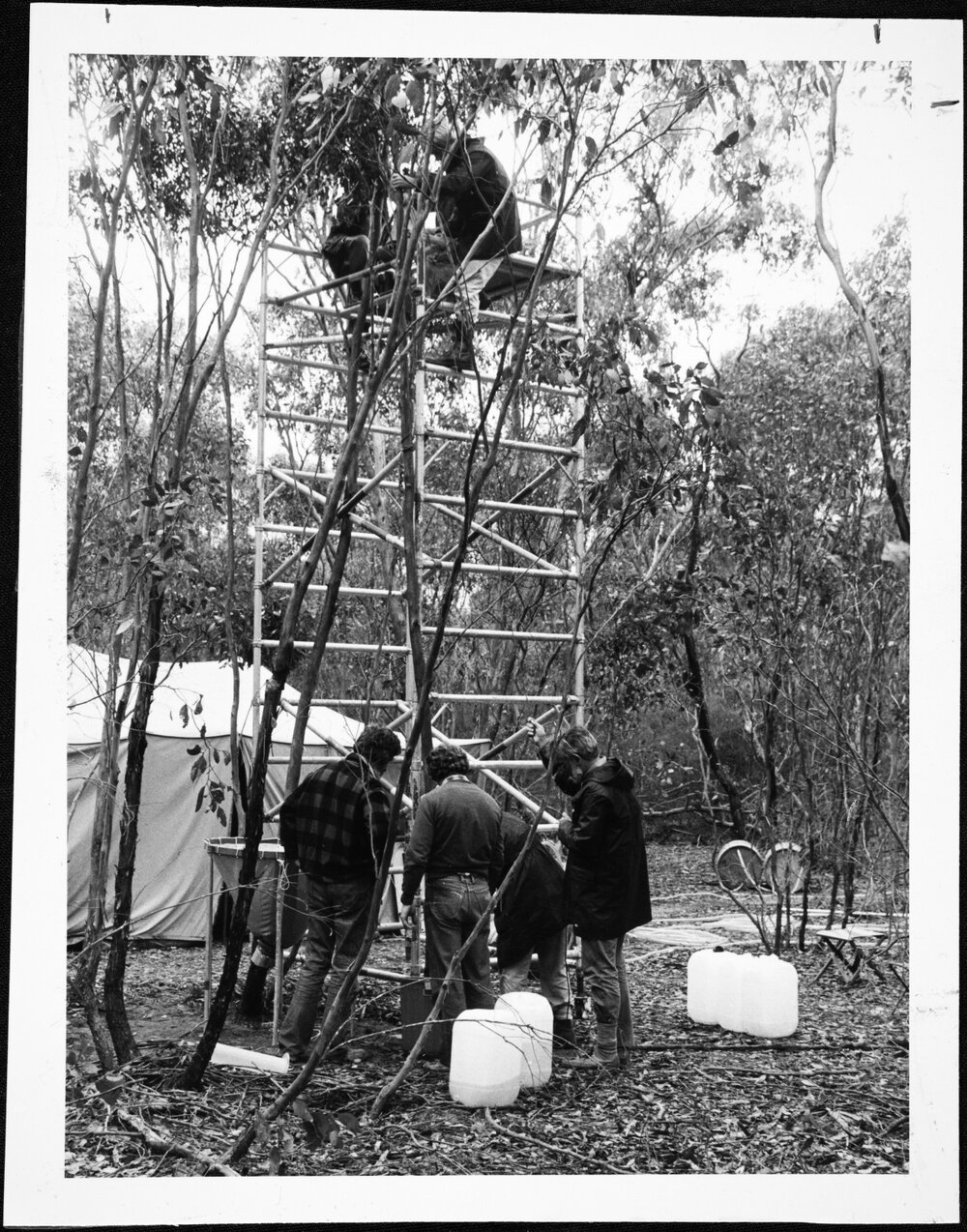 Botany Expedition. Bull Mallee