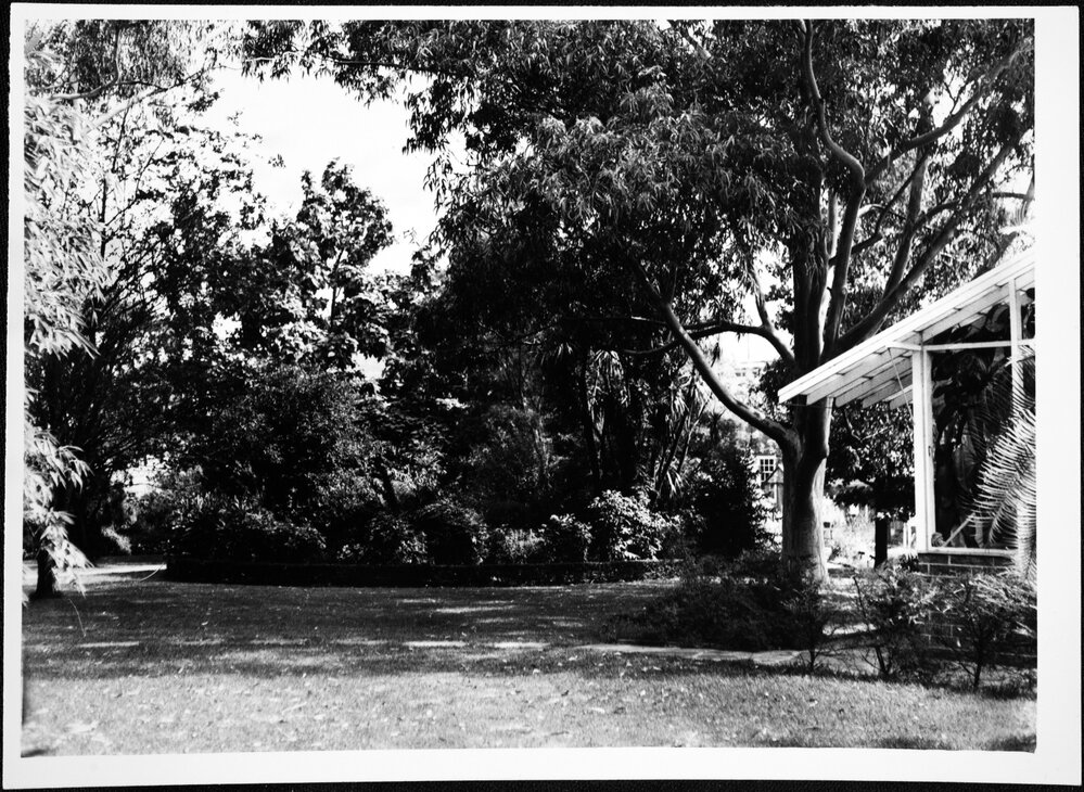 Botany. System Garden. 1975