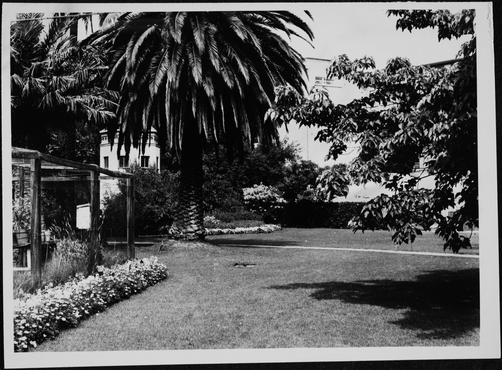 Botany. System Garden. 1975