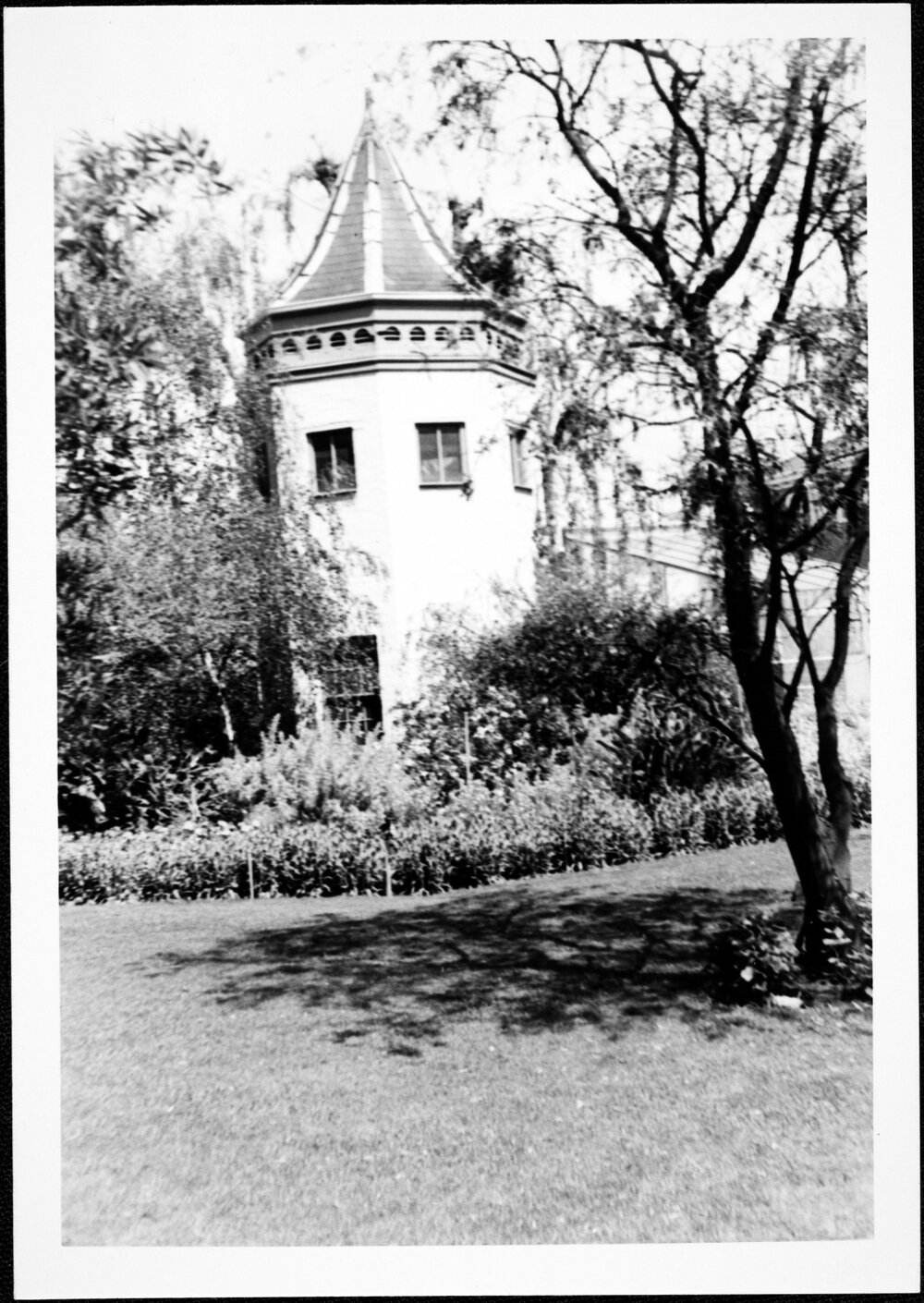 Botany. Systems Garden. 1966