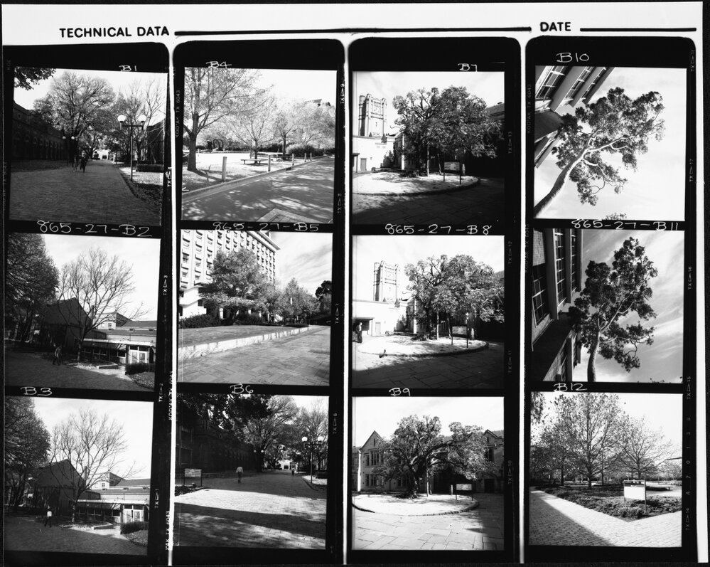 University buildings