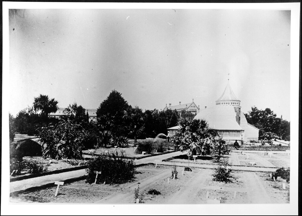 Botany. Systems Garden
