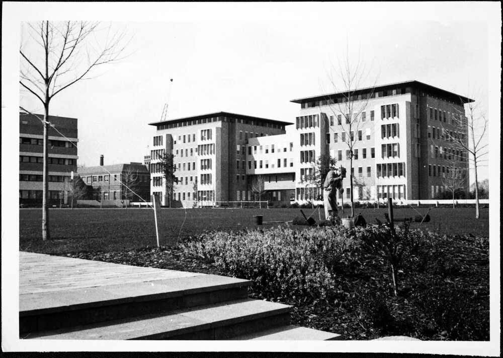 Arts South (John Medley Building)