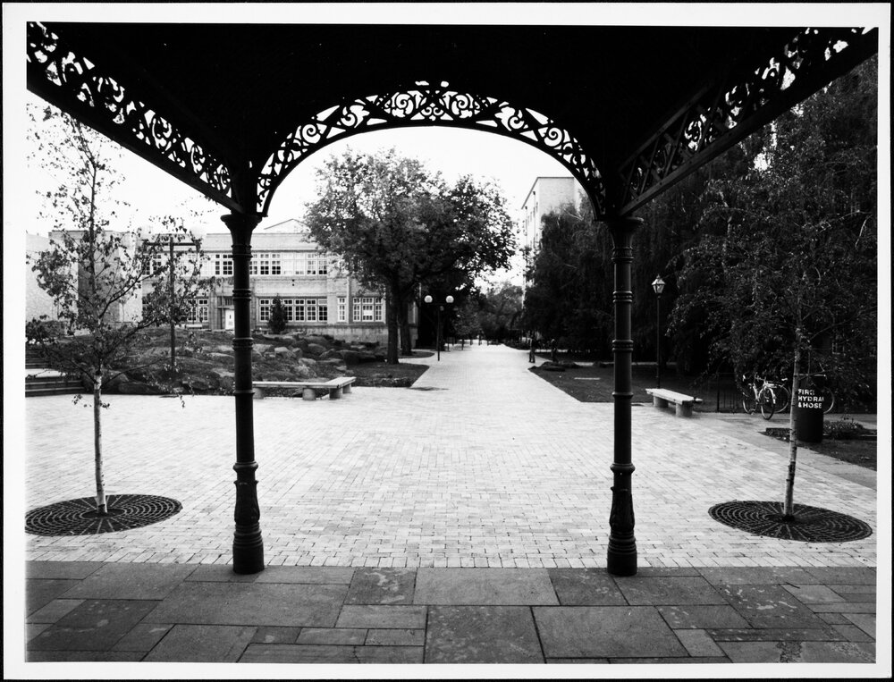 Professor&rsquo;s Walk from Ogg&rsquo;s Verandah, University House. 1982