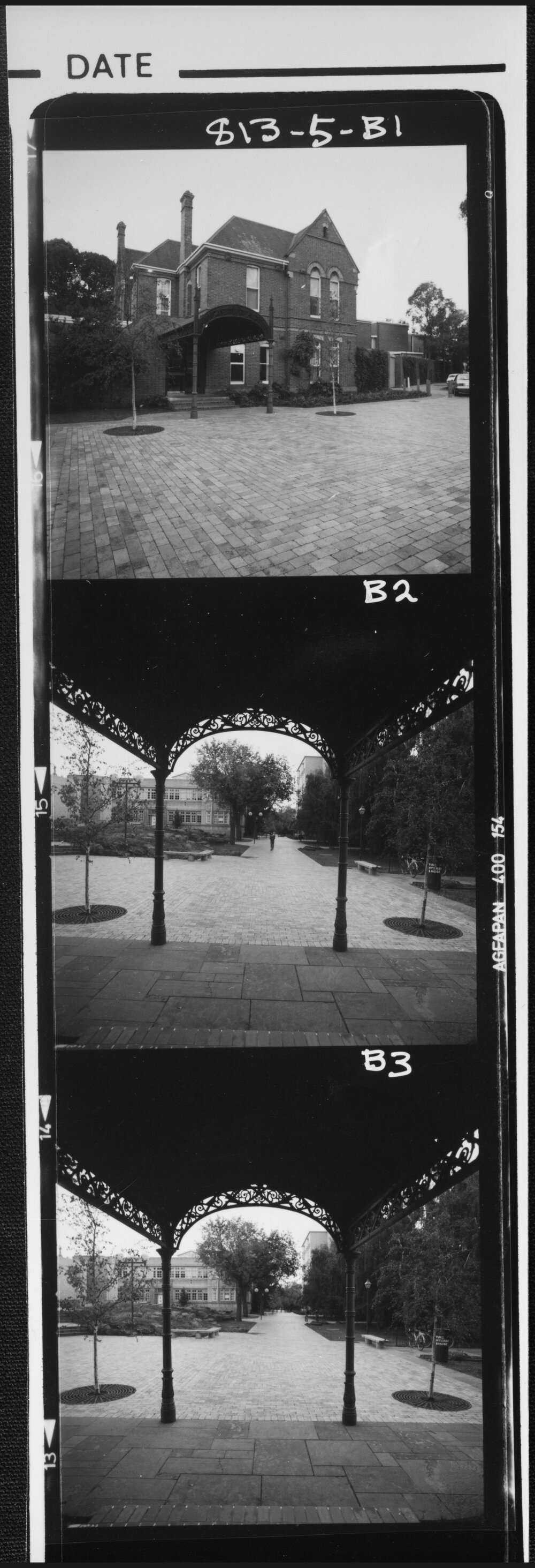 Professor&rsquo;s Walk from Ogg&rsquo;s Verandah, University House. 1982
