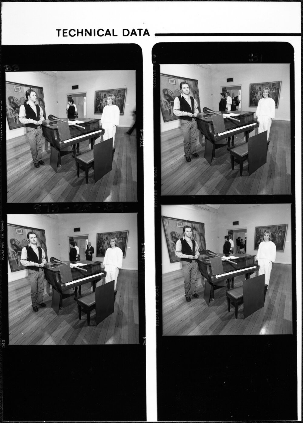 Fine Arts. Art Gallery