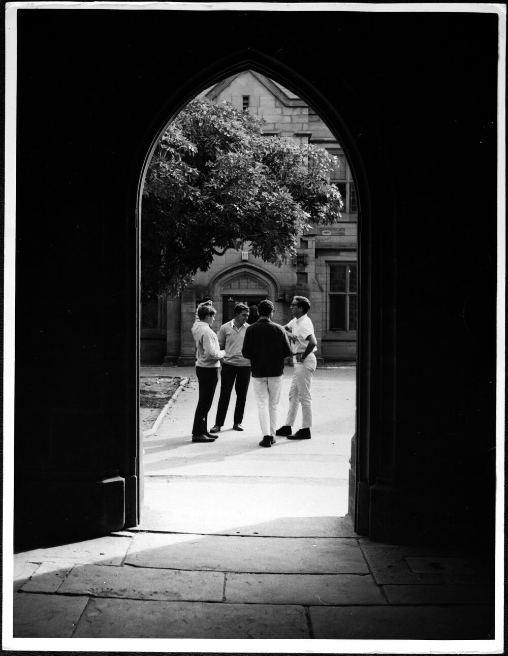 University Grounds. Cussonia Court