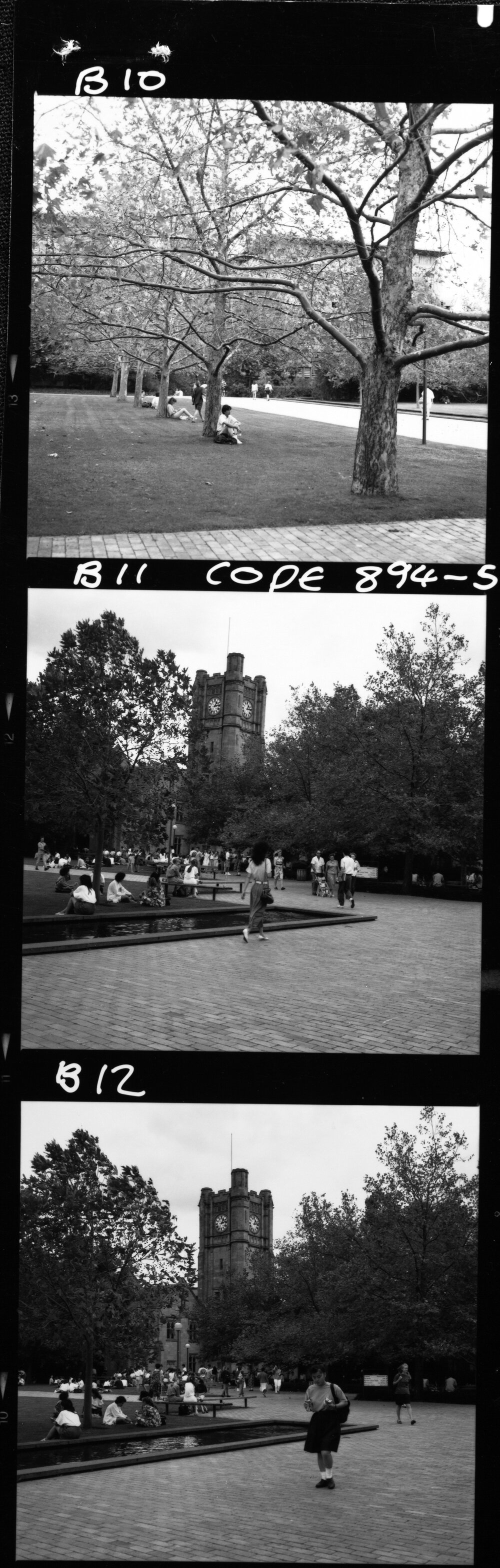 University Grounds. South Lawn