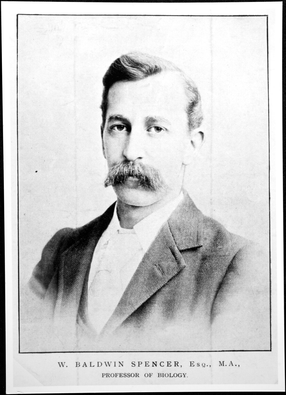 Spencer, W. Baldwin, Esq., M. A., Professor of Biology