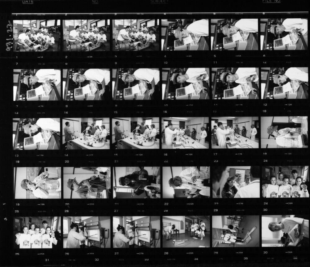 Science Faculty event. Summer School