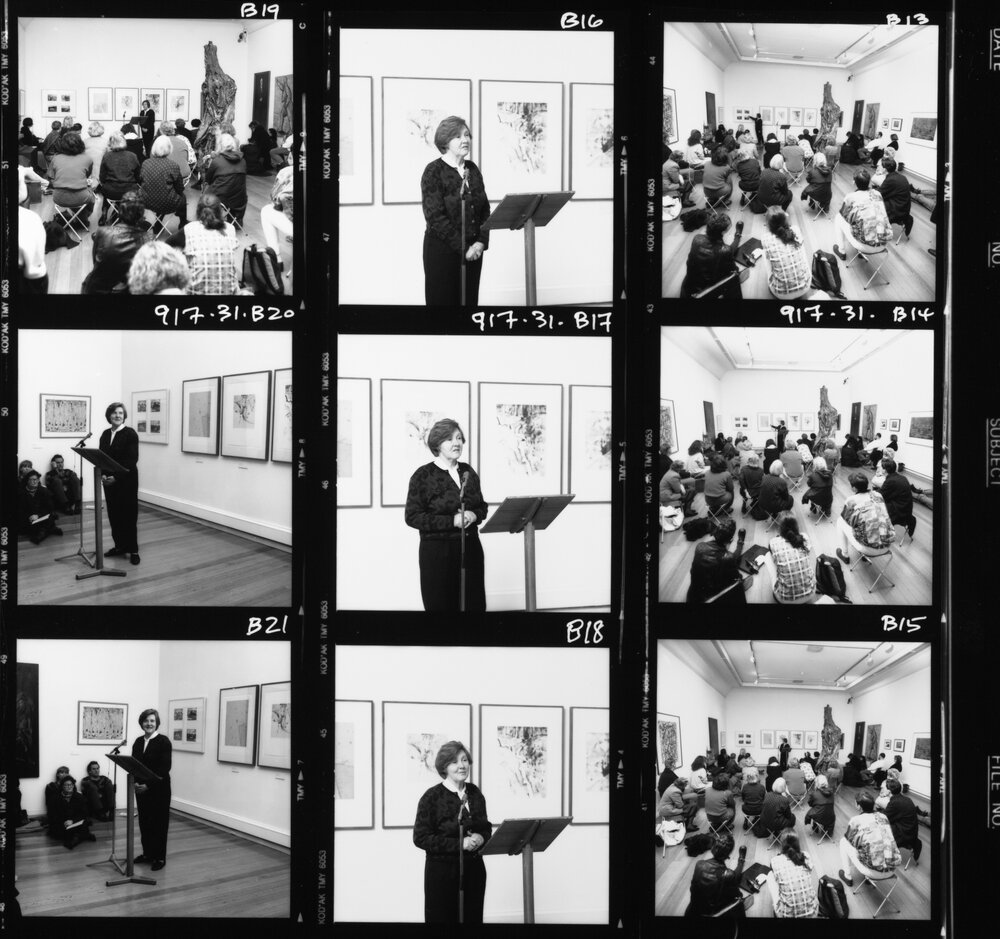 University Museum of Art. Lyn Williams