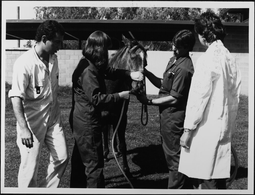 Veterinary Science