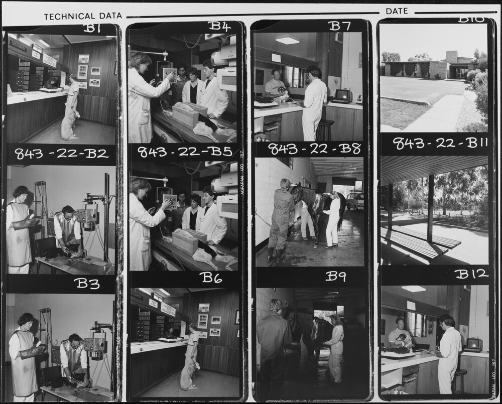 Veterinary Science. Kendall Hall