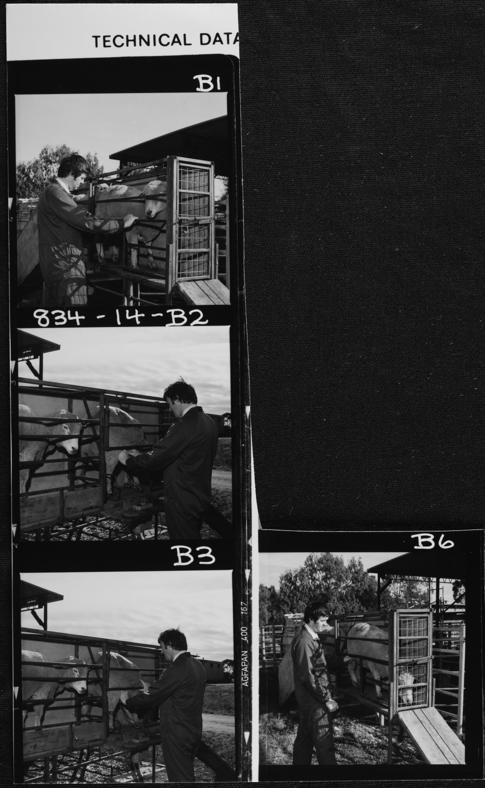 Grant, Ian M. Veterinary Clinical Science, Werribee. 14 Apr 1983