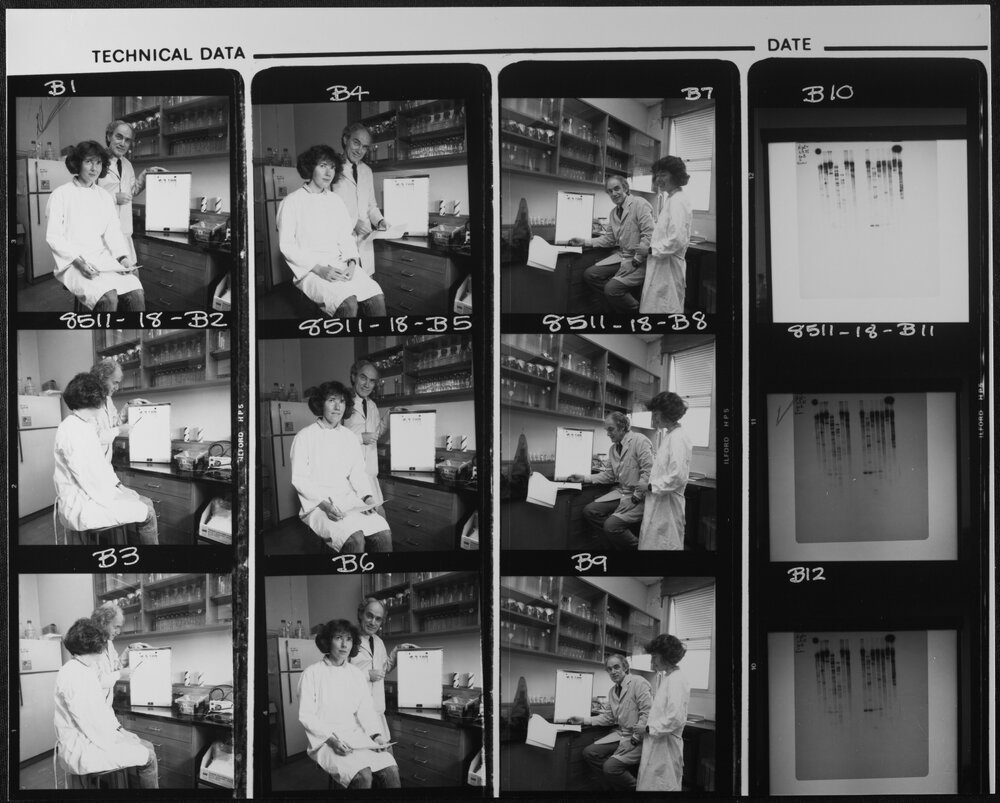 Studdert, Dr Michael