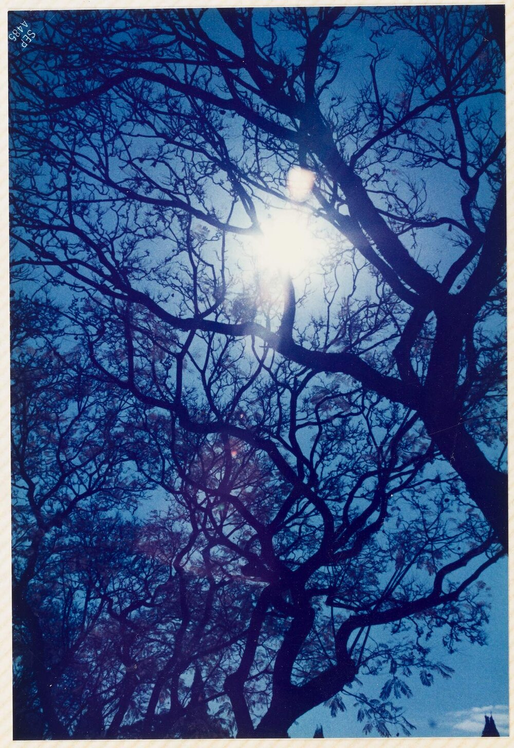 Zimbabwe - South Africa trip