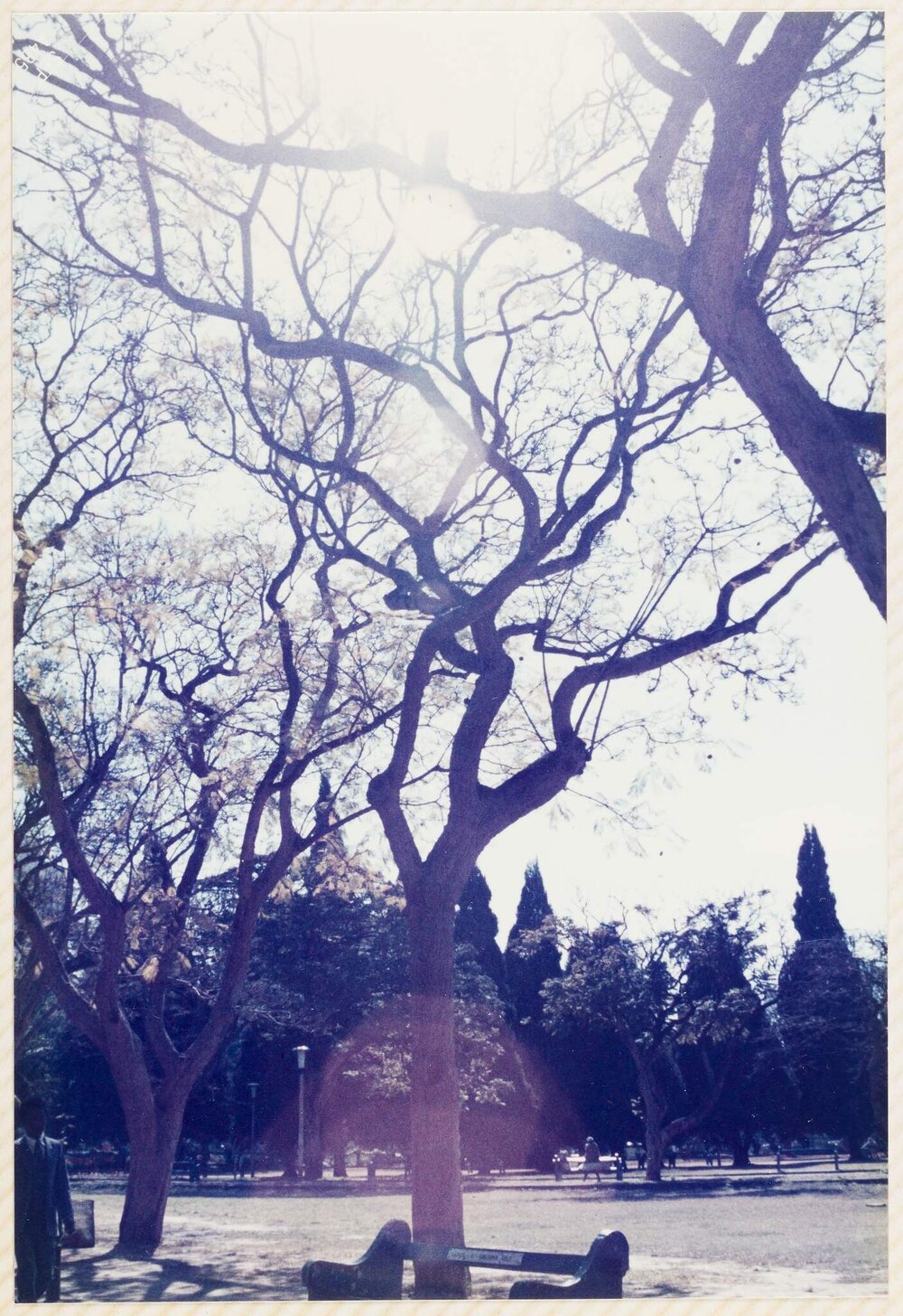 Zimbabwe - South Africa trip