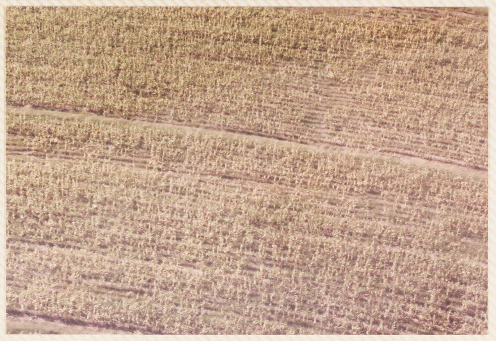 Elizabeth Beach - Lesotho - South Africa trip