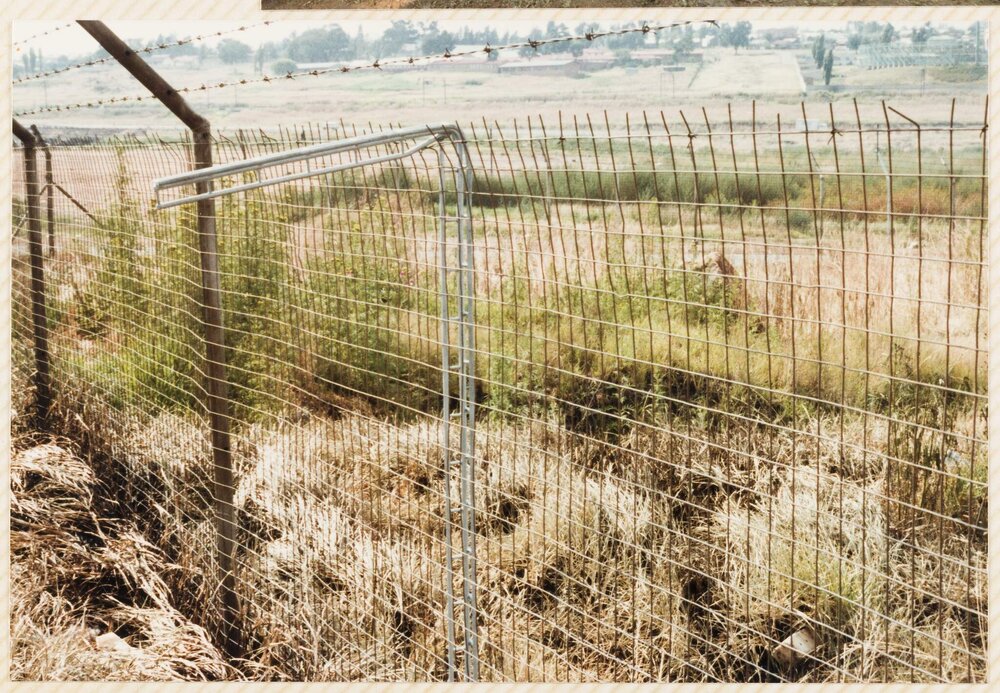 South Africa trip - Montse