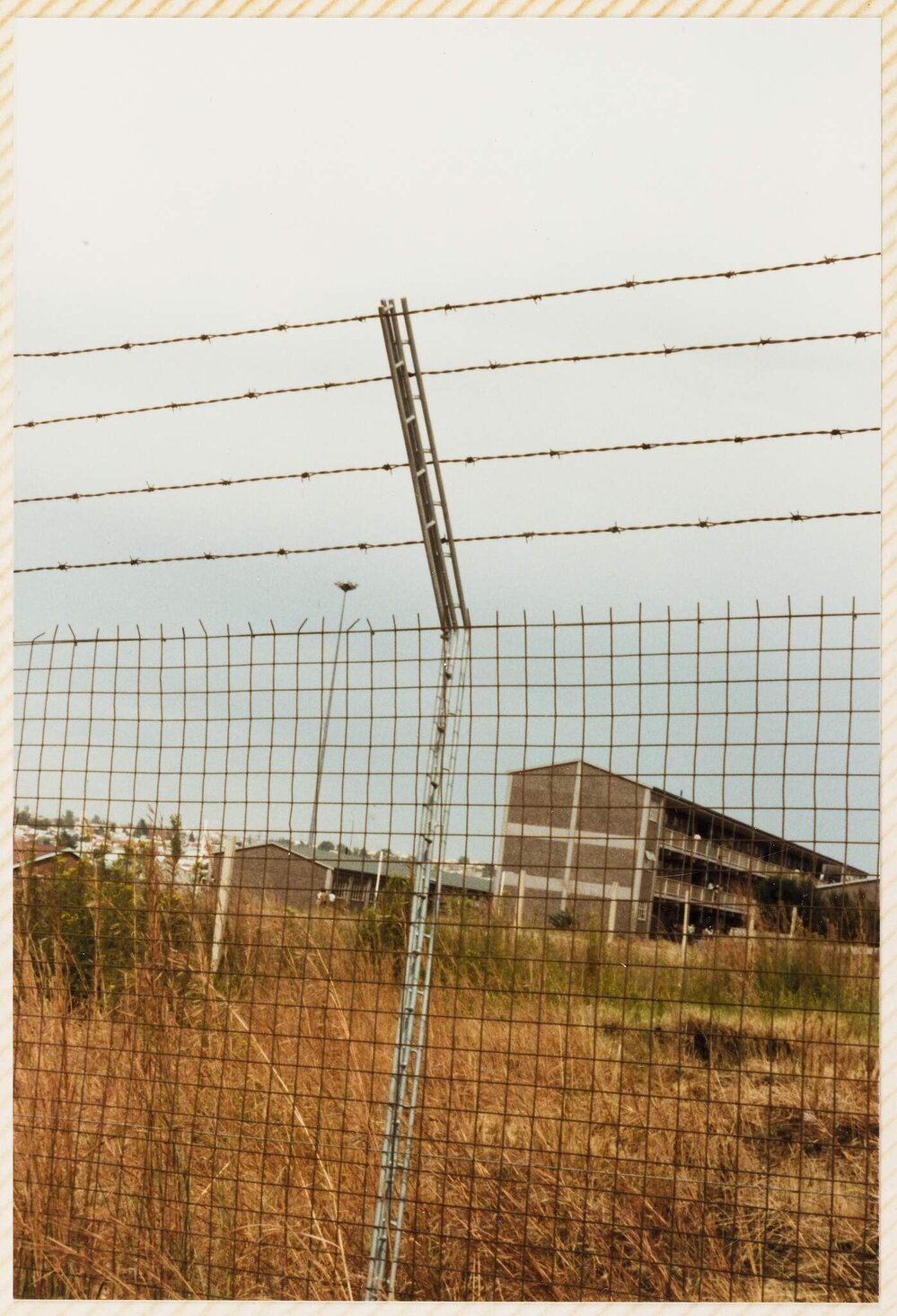 South Africa trip - Montse