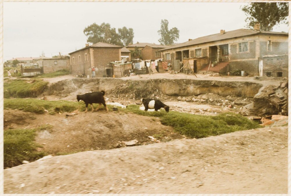 Alexandria[?] - South Africa trip