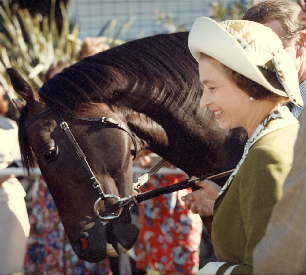 Queen Elizabeth II patting the horse 'Without Fear' at Lindsay Park Stud, South Australia, during her 1977 official visit to Australia.