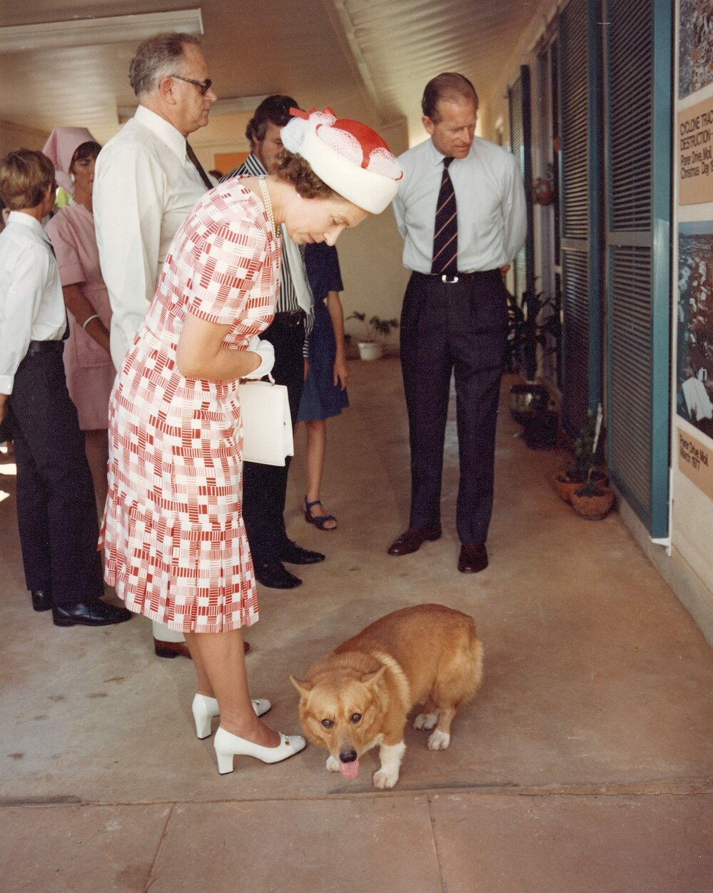 Queen Elizabeth II looking at a corgi dog  while visitng a Cyclone Tracy display in Darwin during her 1977 official visit to Australia.