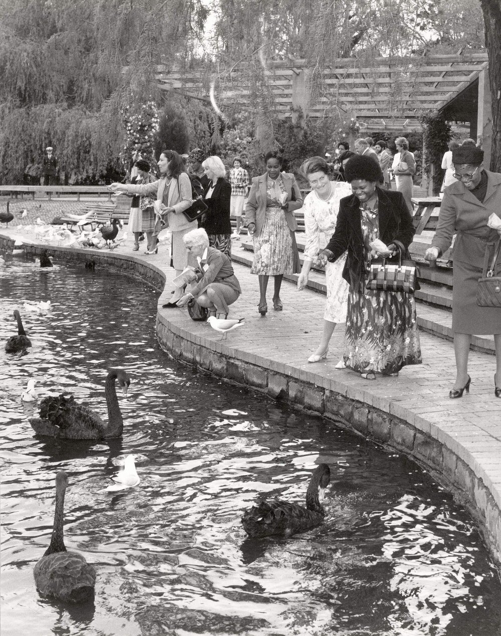 Wives of Commonwealth Heads of Government Meeting participants feeding swans at the Royal Botanic Gardens in Melbourne.