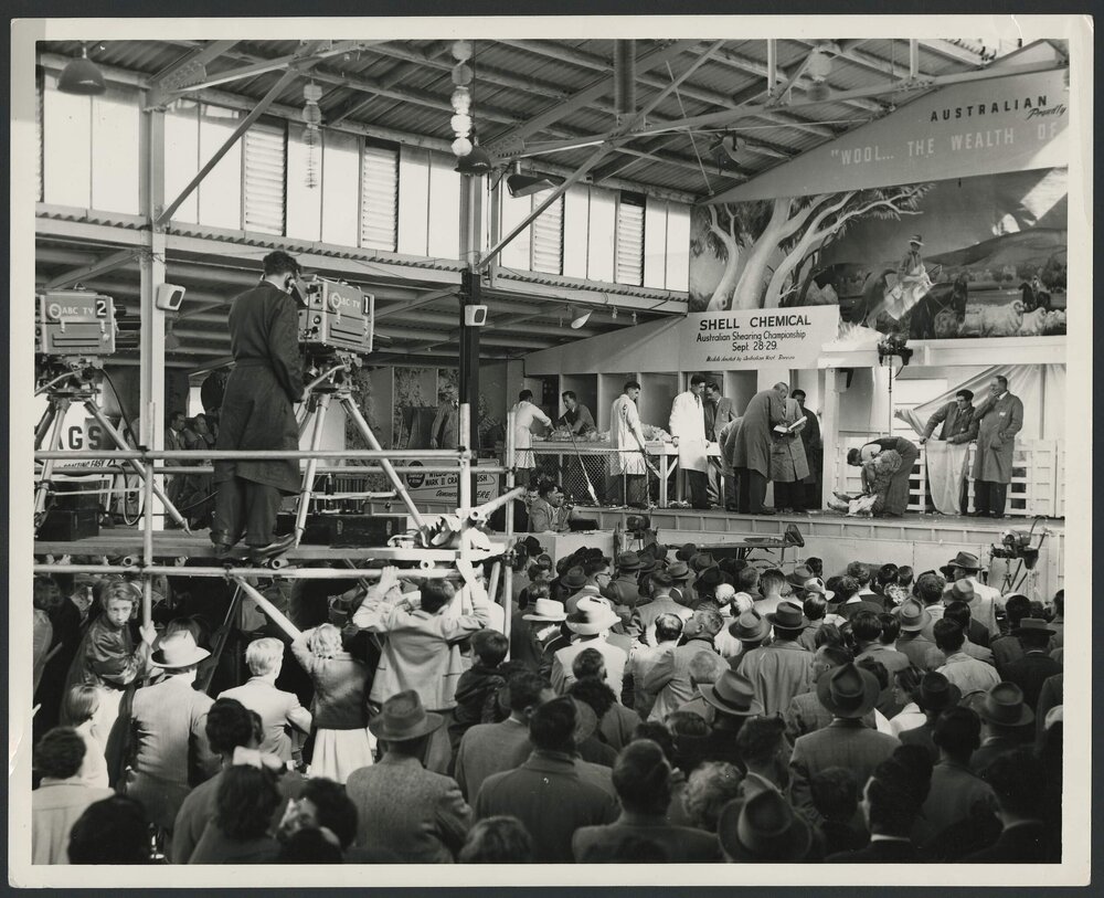 Photographs of sheep shearing championship and Blowfly chemical display at Royal Melbourne Show 1956 [1 of many]