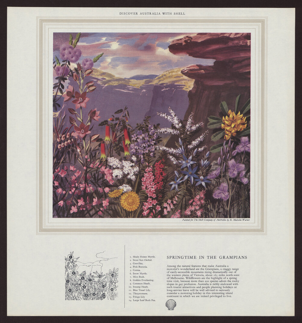 SPRINGTIME IN THE GRAMPIANS