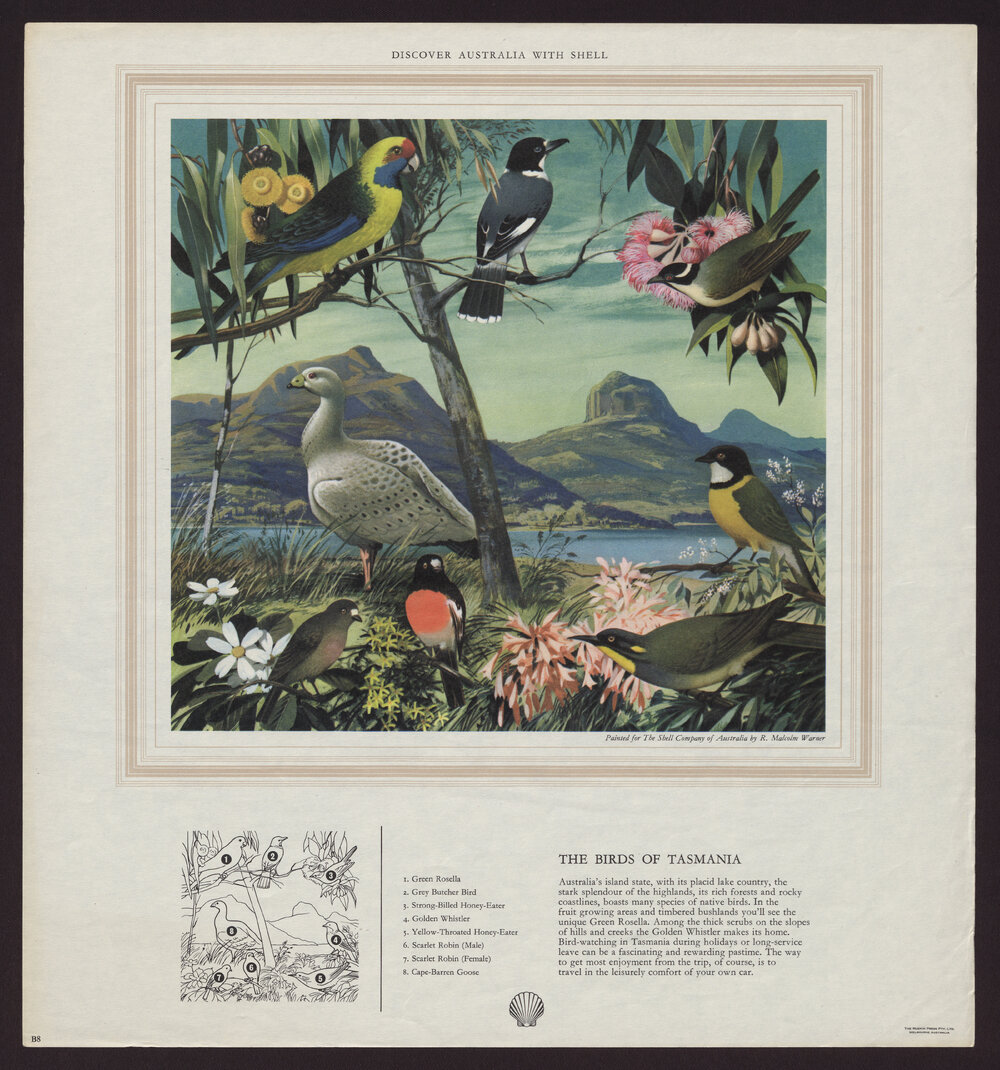 Discover Australia With Shell - Birds of Australia [3 of many]