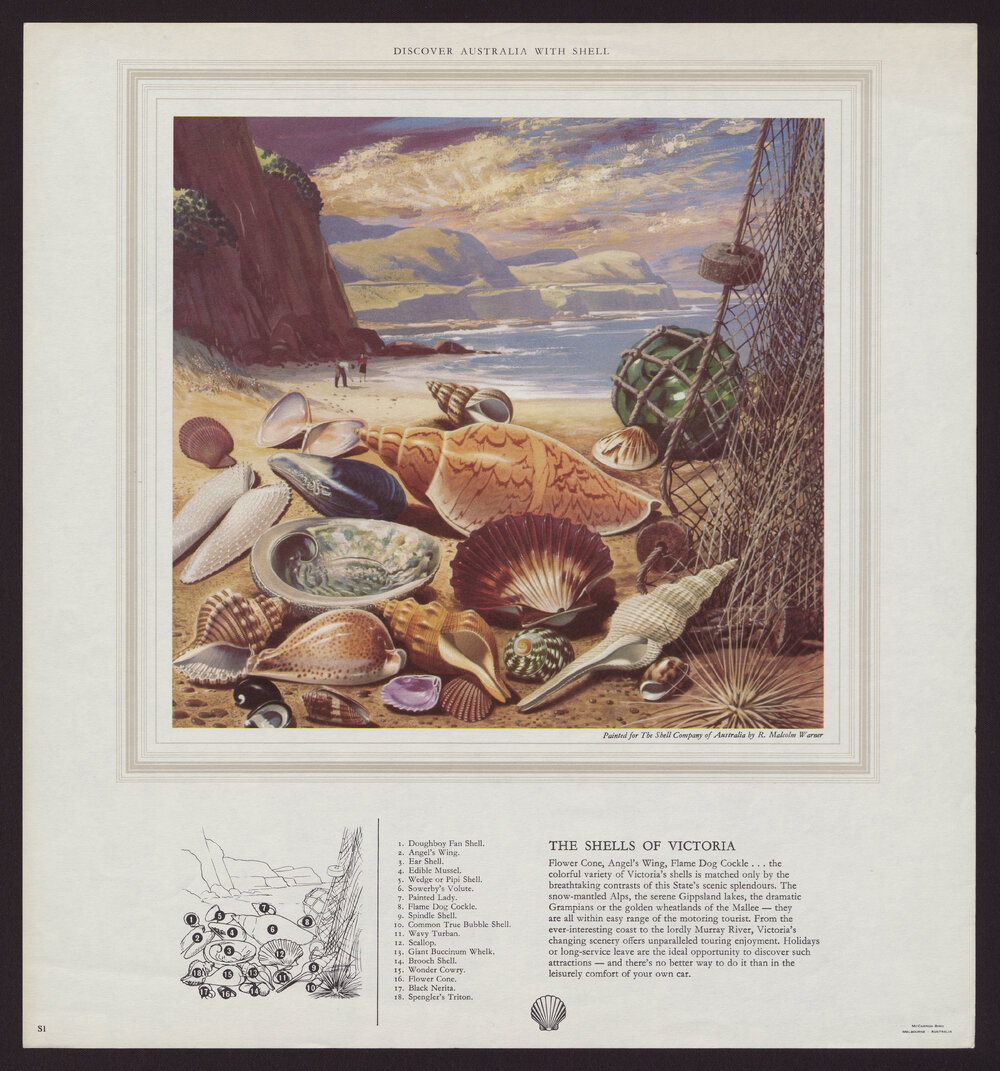 Discover Australia With Shell - Shells [1 of many]