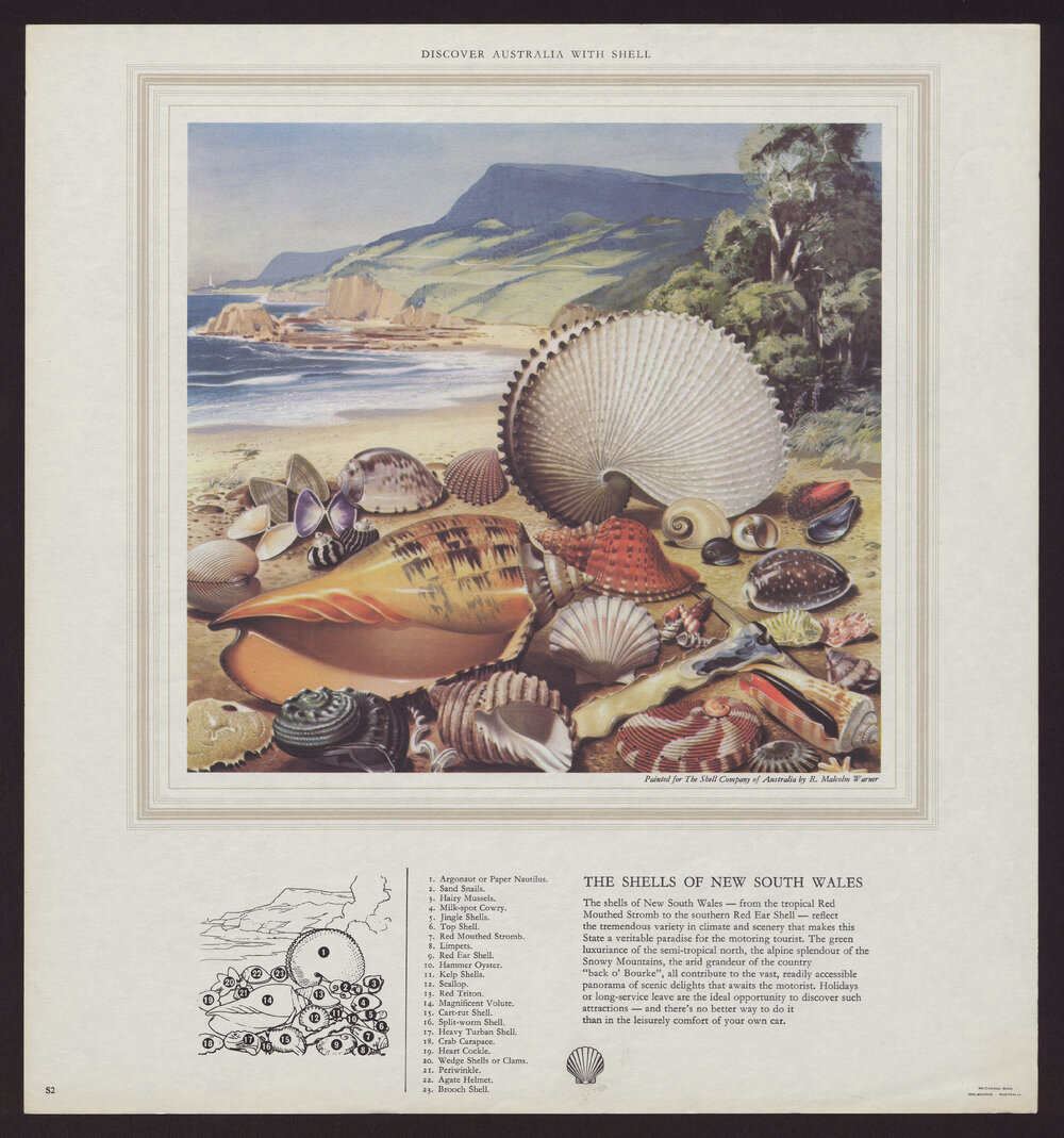 Discover Australia With Shell - Shells [2 of many]