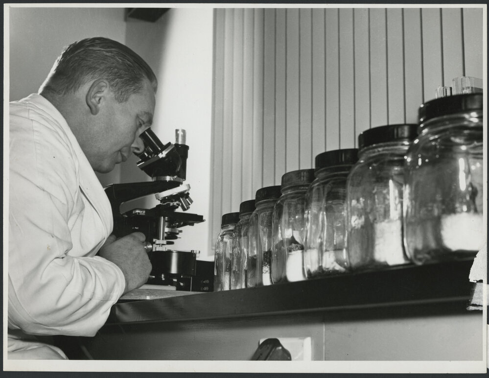 Photographs of Newport Laboratory and staff working within [10 of many]